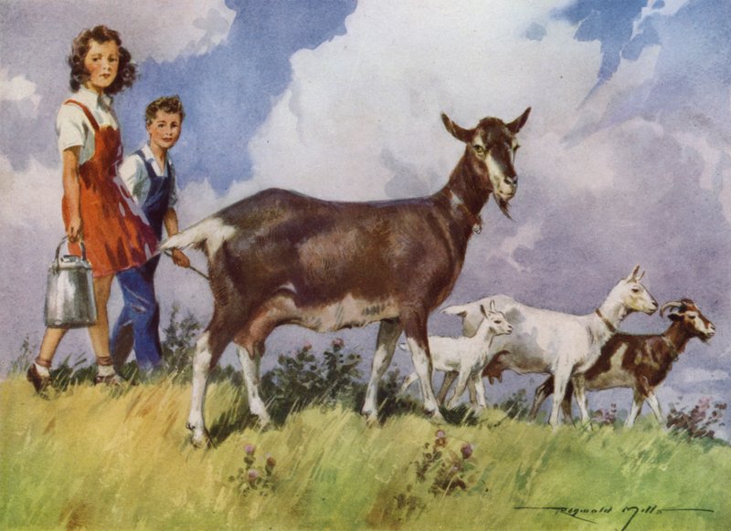 Ilustrace pro Moje farma (barevné lito) od Reginald Mills