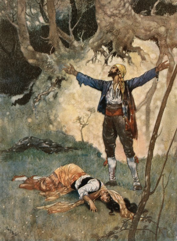 Smrt Carmen od René Bull
