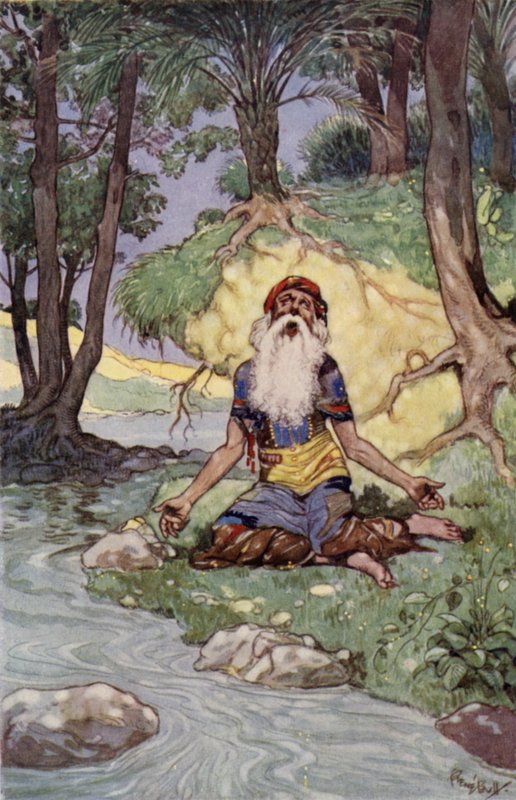 Mořský stařec (barva lito) od René Bull