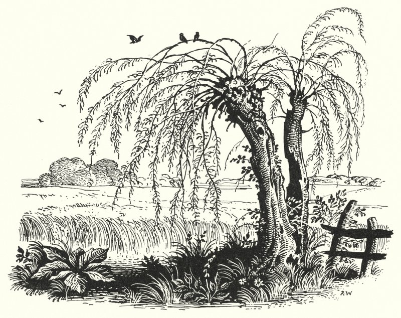Hans Christian Andersen: Pohanka (litho) od Rex (after) Whistler