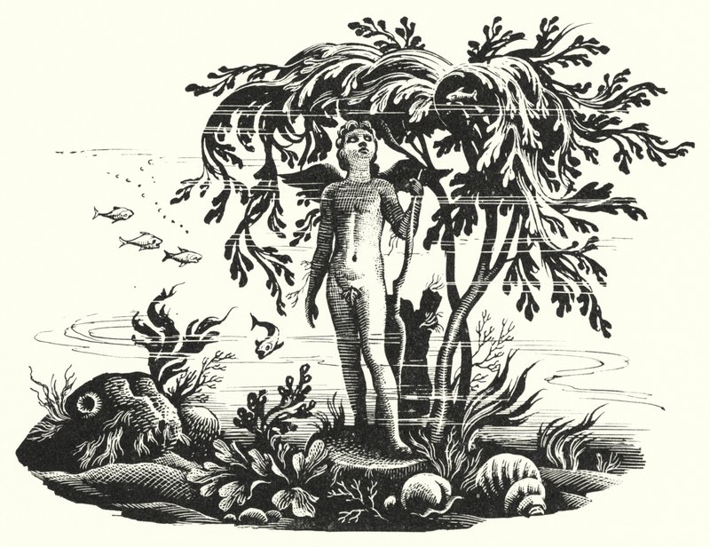 Hans Christian Andersen: Malá mořská víla (litho) od Rex (after) Whistler