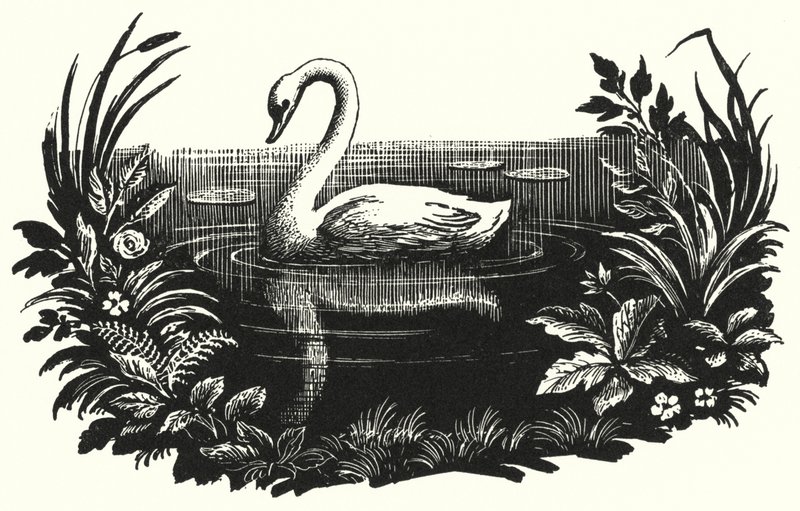 Hans Christian Andersen: Ošklivé káčátko (litho) od Rex (after) Whistler