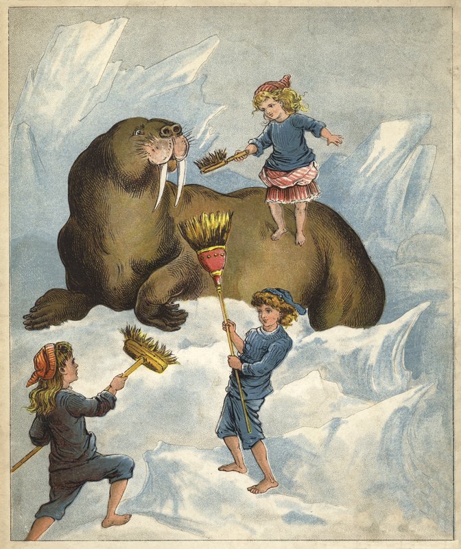 Čištění zubů mrože (chromolitho) od Richard Andre