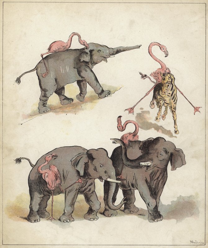 Sloni a plameňáci (chromolitho) od Richard Andre