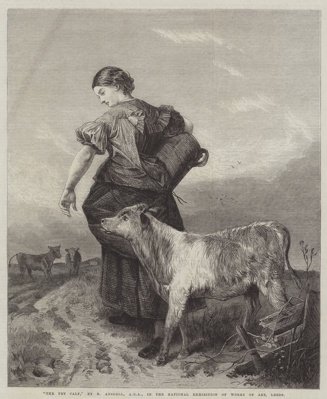 Domácí zvíře od Richard Ansdell