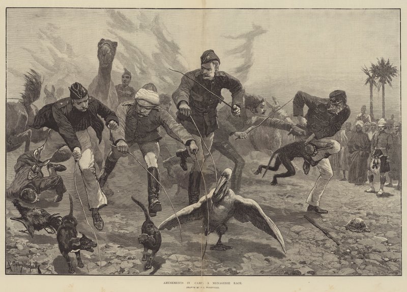 Zábava v táboře, závod zvěřinců od Richard Caton Woodville junior