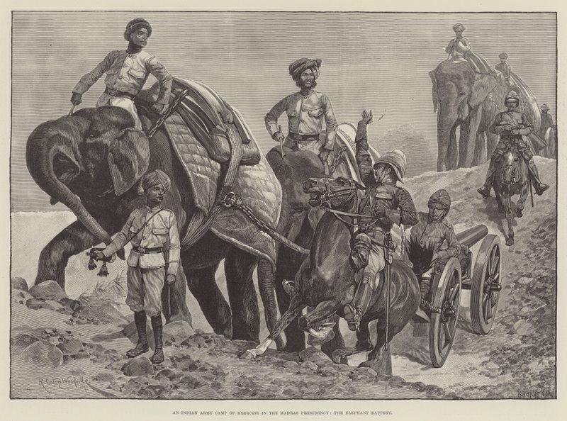 Cvičební tábor indické armády v prezidentském úřadu Madras, baterie slonů od Richard Caton Woodville junior