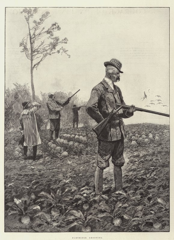 Partridge Střelba od Richard Caton Woodville junior