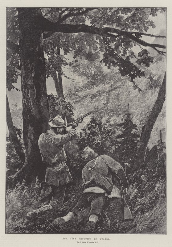 Střelba srnčí zvěře v Rakousku od Richard Caton Woodville junior