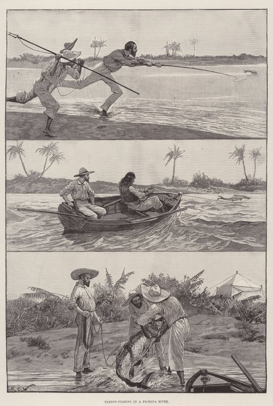 Lov tarponů na floridské řece od Richard Caton Woodville junior