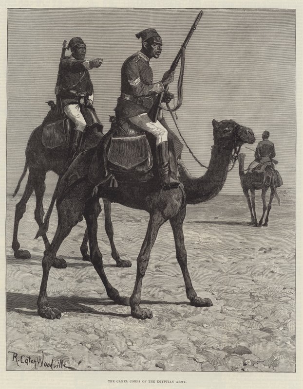 Velbloudí sbor egyptské armády od Richard Caton Woodville junior
