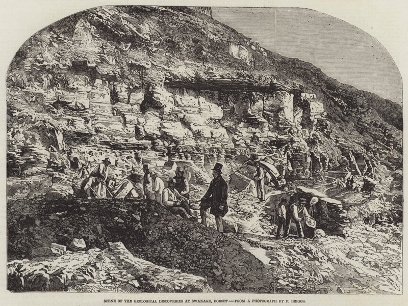 Scéna z geologických objevů ve Swanage, Dorset od Richard Principal Leitch