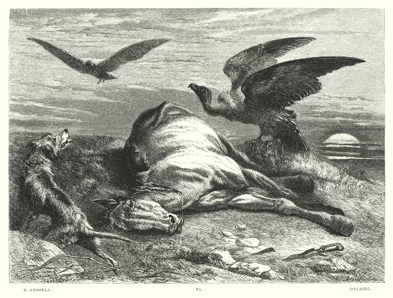 Lord Byron