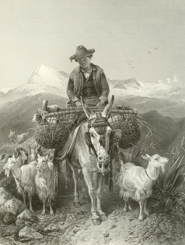 Pastýř z Granady od Richard Ansdell