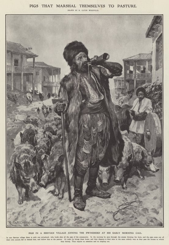 Prasata, která se vydávají na pastvu (litho) od Richard Caton II (after) Woodville