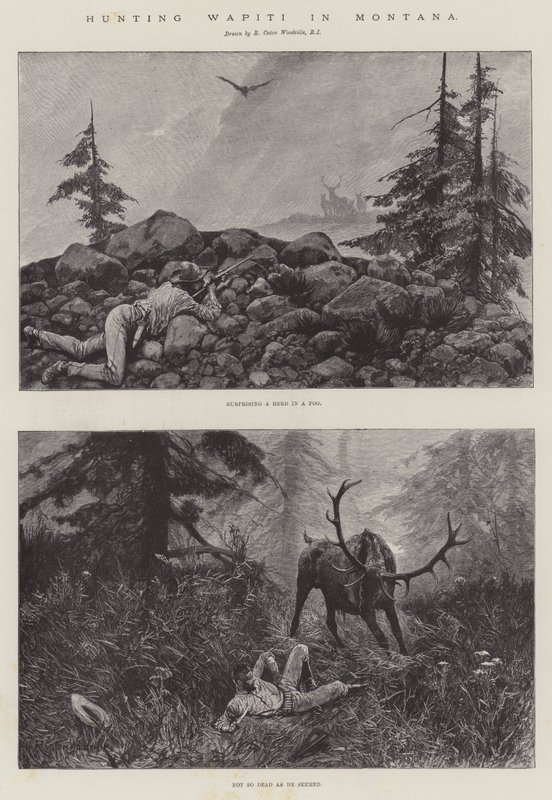 Lov wapiti v Montaně od Richard Caton Woodville junior