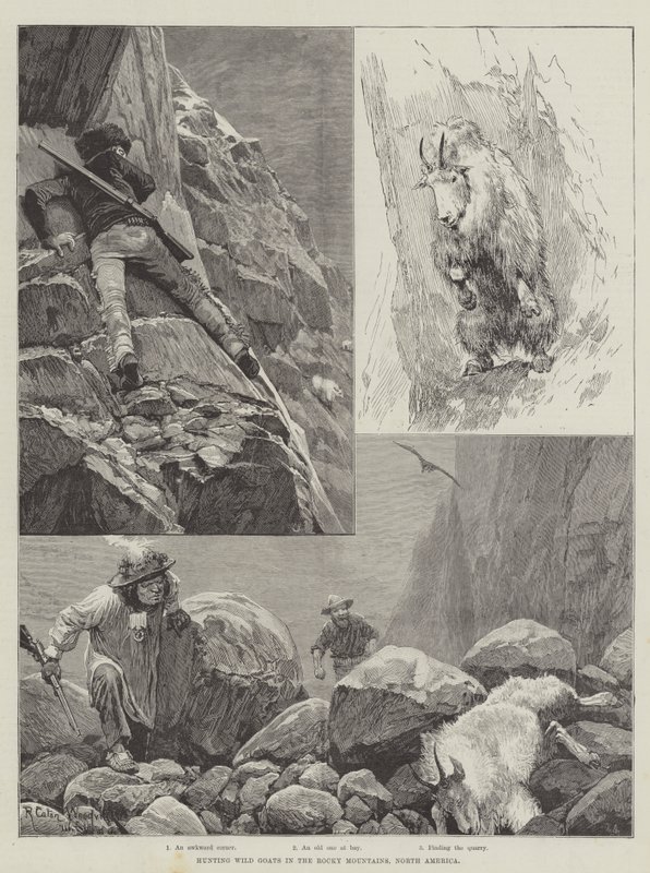 Lov divokých koz ve Skalistých horách v Severní Americe od Richard Caton Woodville junior