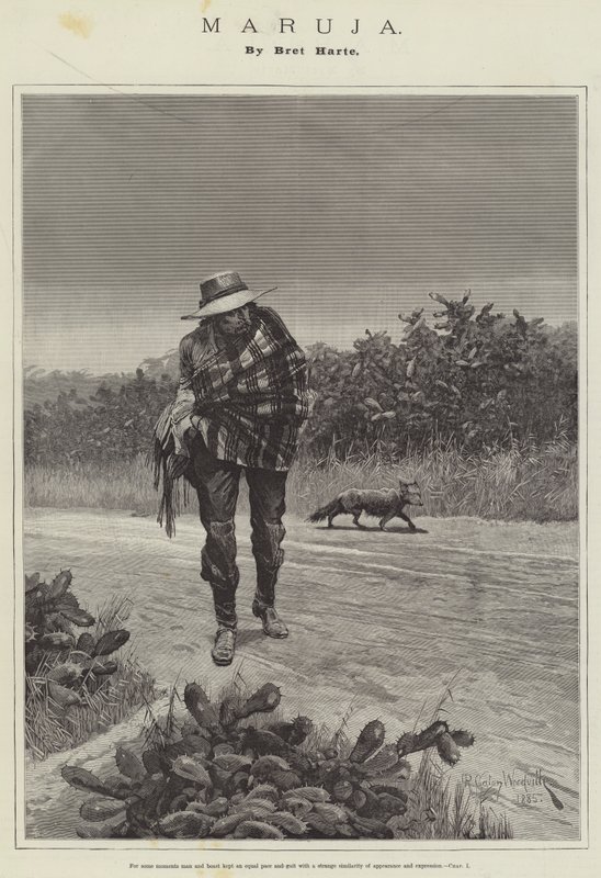 Maruja, Bret Harte od Richard Caton Woodville junior