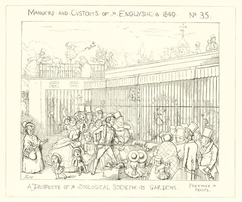1849, Vyhlídka na zahrady zoologické společnosti od Richard Doyle