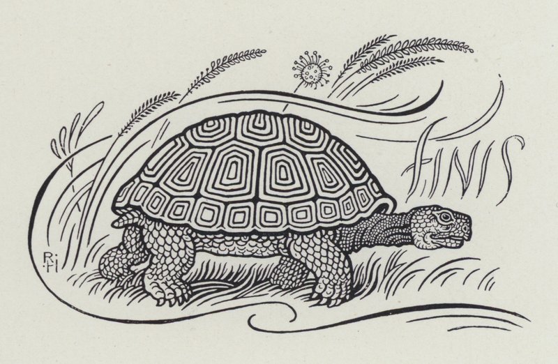 Hare And The Tortoise (rytina) od Richard Heighway