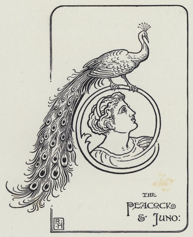 The Peacock And Juno (rytina) od Richard Heighway