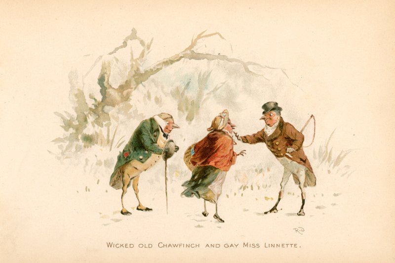 Ilustrace pro The Twigs nebo Vánoce v Ruddock Hall od Robert Dudley
