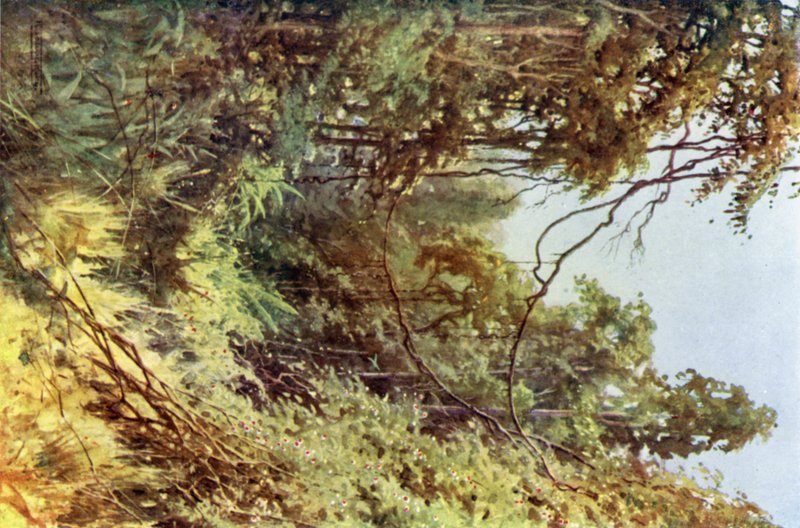 Lesní mýtina od Robert George Talbot Kelly