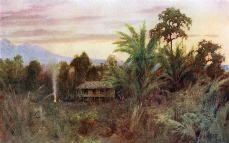 Forest Tai od Robert George Talbot Kelly