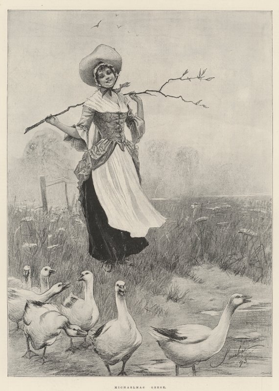 Michaelmas Husy od Robert Sauber
