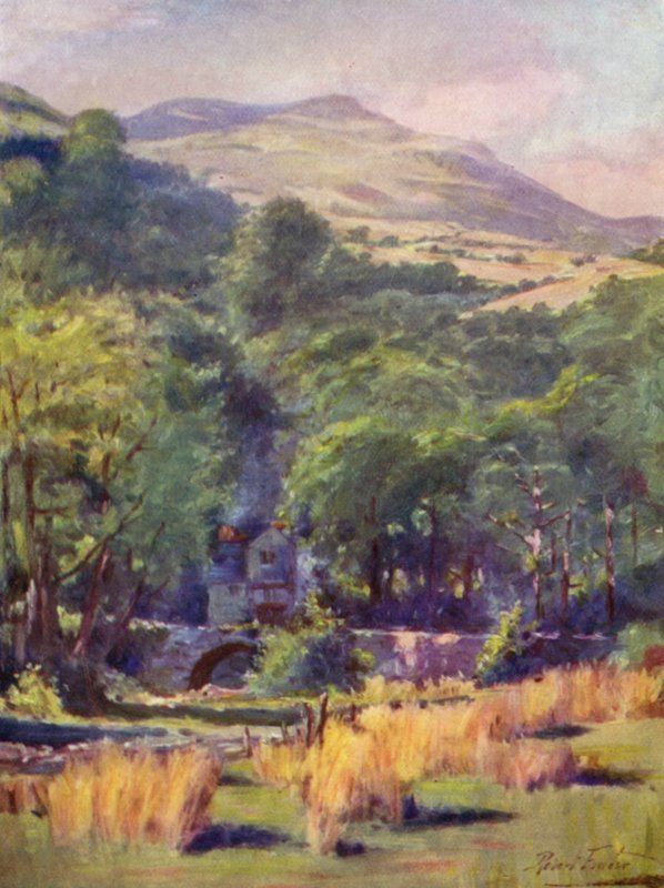 Duffws Mountain (barevné lito) od Robert (after) Fowler