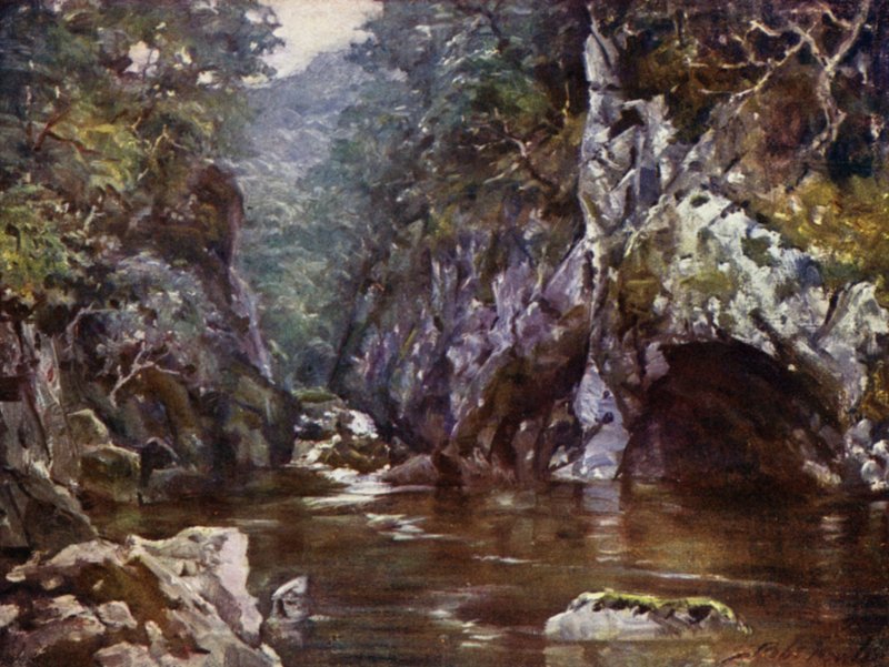 Fairy Glen, Bettws-y-Coed (barva lito) od Robert (after) Fowler