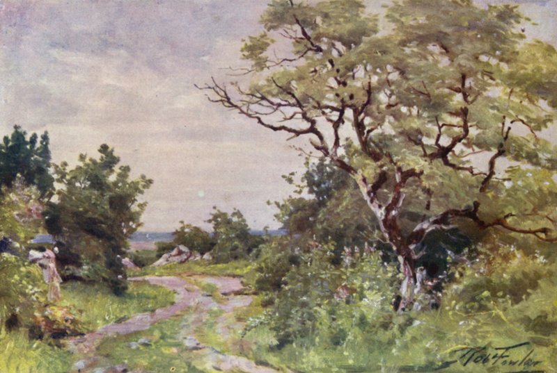 Polní cesta, poblíž Llanrug (barva litho) od Robert (after) Fowler