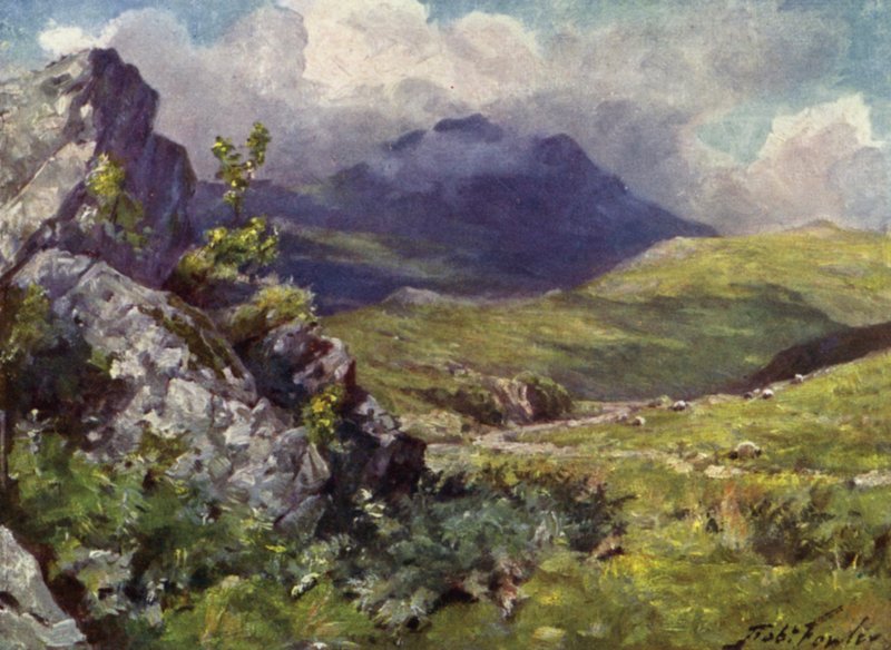 Pohled na Moelwyn (barevné lito) od Robert (after) Fowler