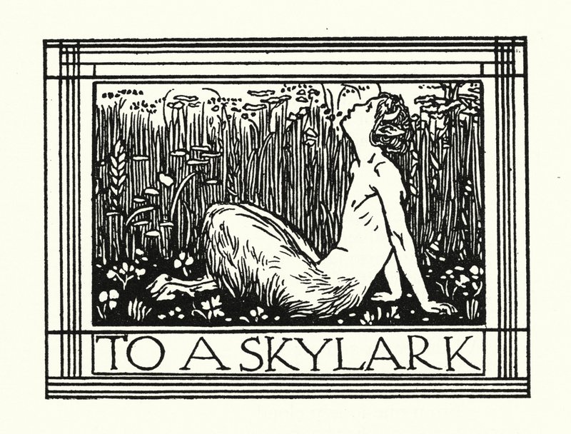 Shelley: Skřivánkovi (litografie) od Robert Anning Bell