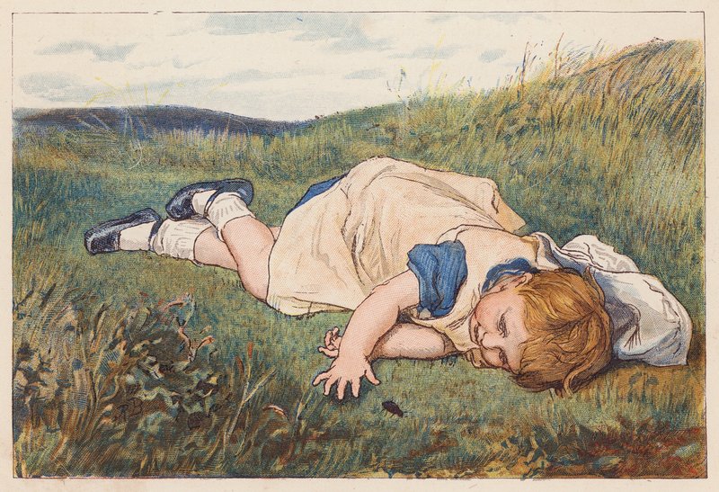 Dívka fascinovaná broukem (barevná litografie) od Robert Barnes