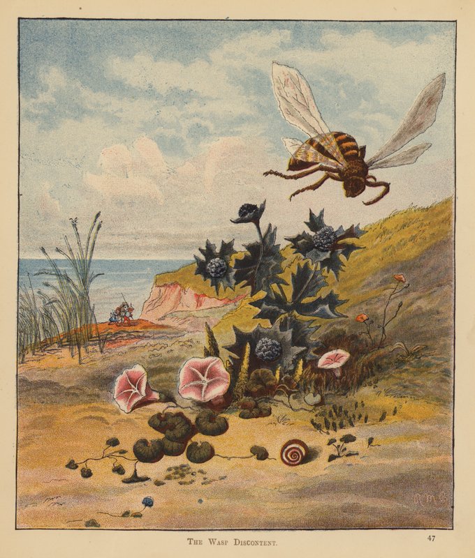 The Kitten Pilgrims: The Wasp Discontent (barva lito) od Robert Michael Ballantyne