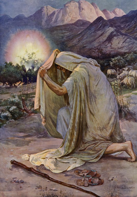 Hořící keř (barevné lito) od Robert Payton Reid
