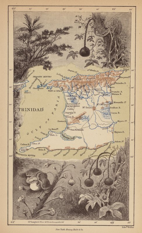 Trinidad (rytina) od Robert Pritchett