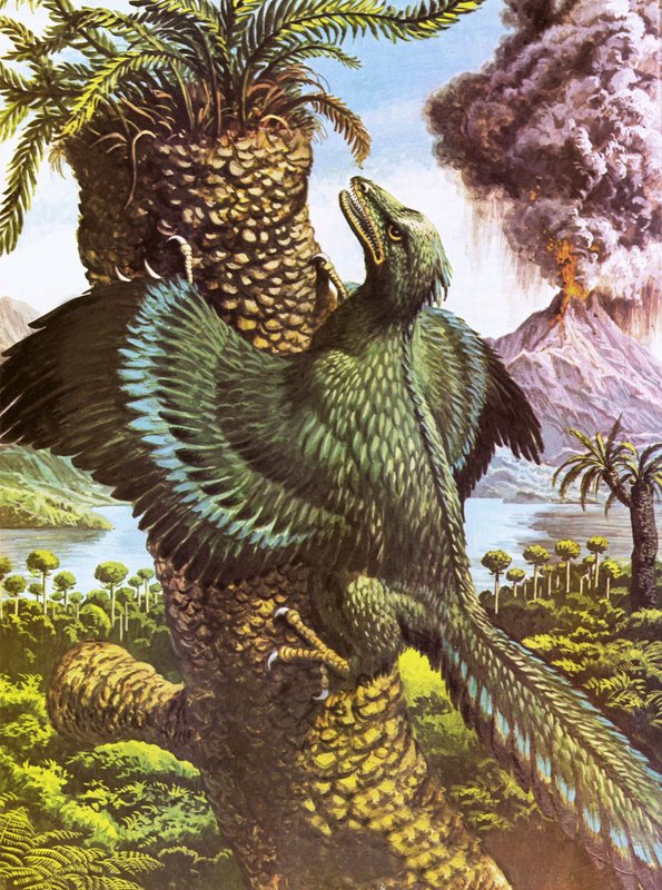 Archeopteryx od Roger Payne