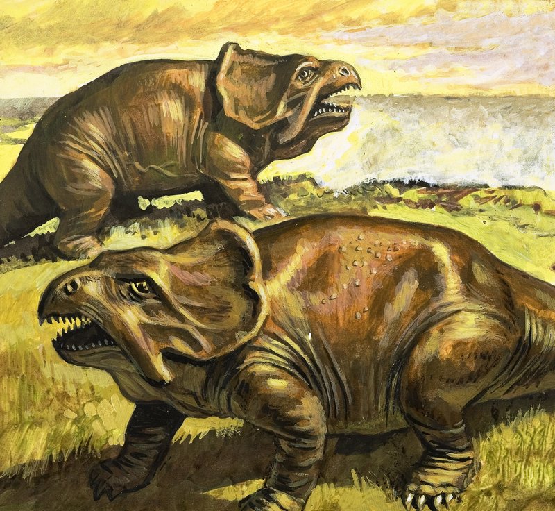 Protoceratops, ilustrace z knihy "Za časů dinosaurů, objev v poušti od Roger Payne