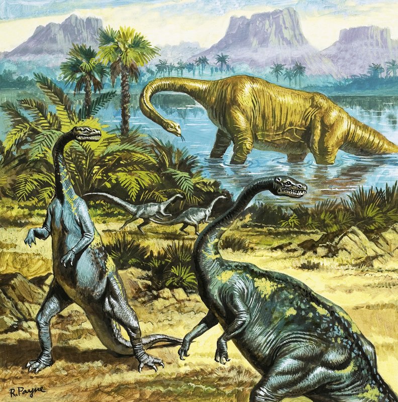 Neidentifikovaní prehistoričtí tvorové od Roger Payne