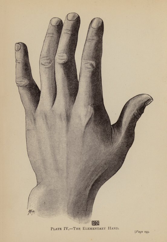 Elementární ruka (litho) od Rosamund Brunel Horsley Gotch
