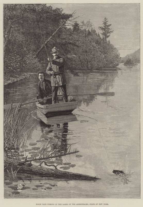 Black Bass Fishing v jezerech Adirondacks, stát New York od Rufus Fairchild Zogbaum