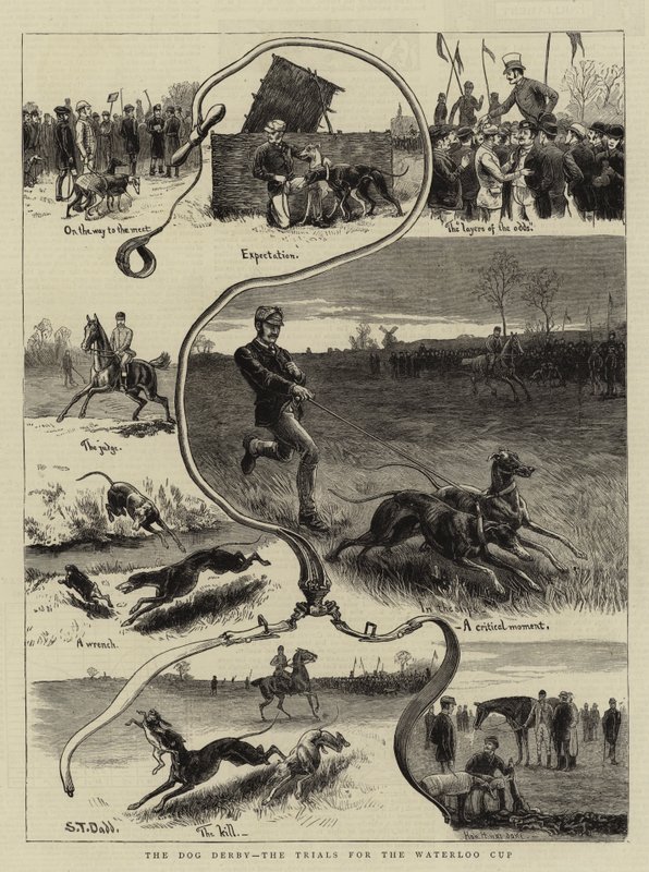 Psí derby, zkoušky o pohár Waterloo od S.T. Dadd