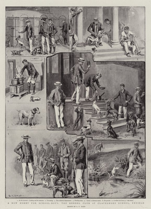 New Hobby for School-Boys, Kennel Club v Clayesmore School, Enfield od S.T. Dadd