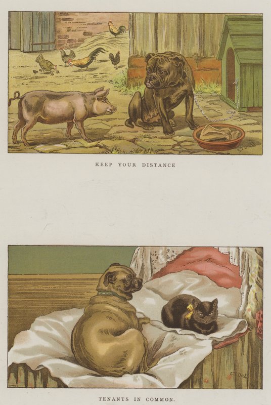 Humorní psi (chromolitho) od S.T. Dadd