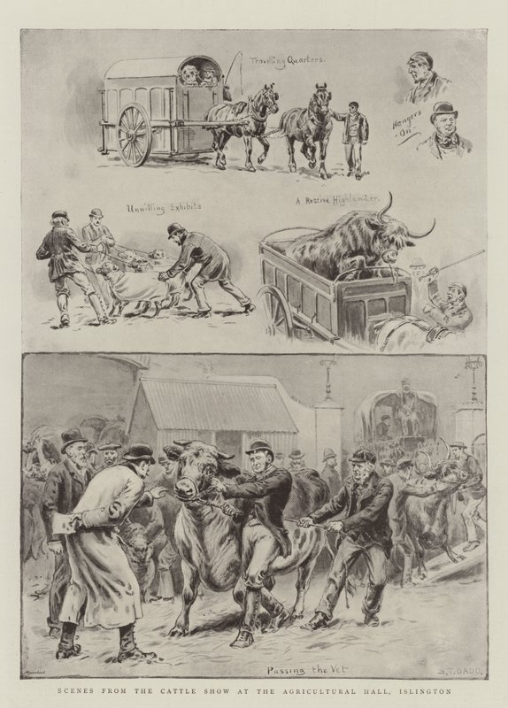 Scény z Cattle Show v Agricultural Hall, Islington od S.T. Dadd