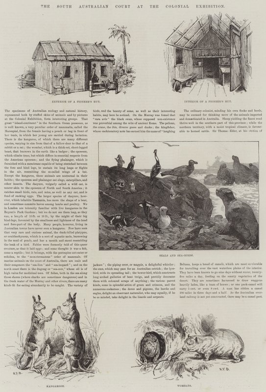 South Australian Court na koloniální výstavě od S.T. Dadd