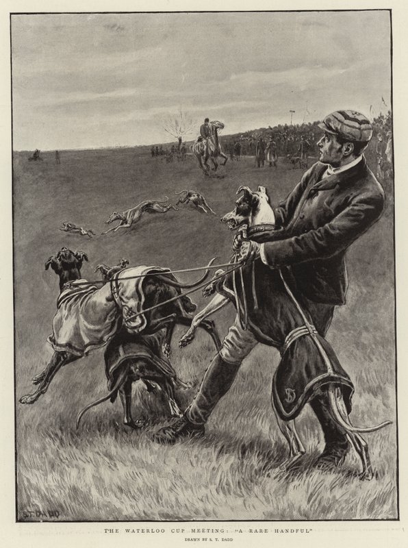 Setkání poháru Waterloo, vzácná hrstka od S.T. Dadd