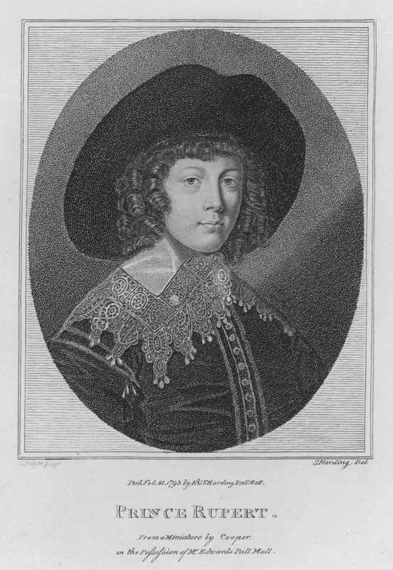 Prince Rupert (rytina) od S. (after) Harding